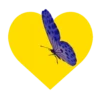 Mariposas y flores en corazón amarillo mov 30