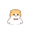 Gatito lindo mov 24