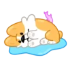 Perro gracioso mov 29