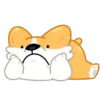 Perro gracioso mov 30
