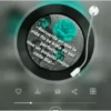 VARIADOS MOV. 7