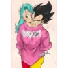 Vegeta y Bulma 107 5