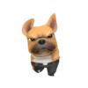 Funny dog 2 mov 6