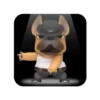 Funny dog 2 mov 10