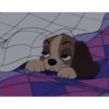 Buenas noches 2 MOV. 11