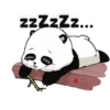 Buenas noches 2 MOV. 12
