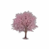 Variados cute 2 mov 11