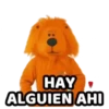 Leoncito feliz 1 MOV. 13