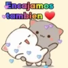 Encajamos tambien