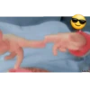 Variados֍1 Movi 8