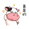 Momo Cow - 125 Mov.1712 16