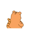 Urso e tigre 8