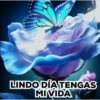 VARIADOS MOV. 2 8