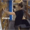Graciosos 12