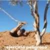 Graciosos 13
