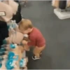 Graciosos 14