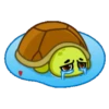 Tortuga 1 MOV. 13