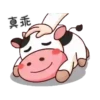 Momo Cow - 125 Mov.1712 17