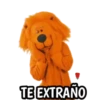 Leoncito feliz 1 MOV. 16