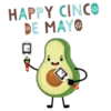 5 De MAYO #2 16