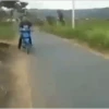 Graciosos 17
