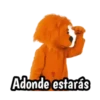 Leoncito feliz 1 MOV. 17