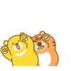 Urso e tigre 9