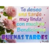 ¡Buenas Tardes! 12