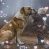 Niños 6 mov 13