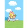 Pollito tierno Mov 14