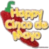 5 De MAYO #2 20