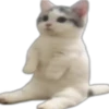 oooahhhh 18