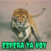 VARIADOS MOV. 2 20