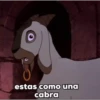 El jorobado movi 21