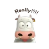 Fun cow mov 13