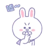 LINE FRIENDS 閃耀之星 16
