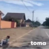 Graciosos 23