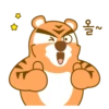 Urso e tigre 12