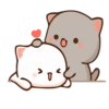 𓄂cuᯭti͢e cat 20