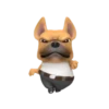 Funny dog 2 mov 21