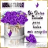 ¡Buenas Tardes! 19