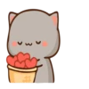 𓄂cuᯭti͢e cat 23