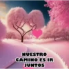 VARIADOS MOV. 26