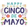 5 De MAYO #2 25