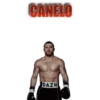 CANELØ #1 21