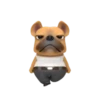 Funny dog 2 mov 23