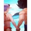 Vegeta y Bulma 107 23