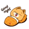 Buenas noches 2 MOV. 26