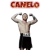 CANELØ #1 29