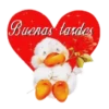 ¡Buenas Tardes! 27